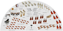 Инструменты симфонического оркестра